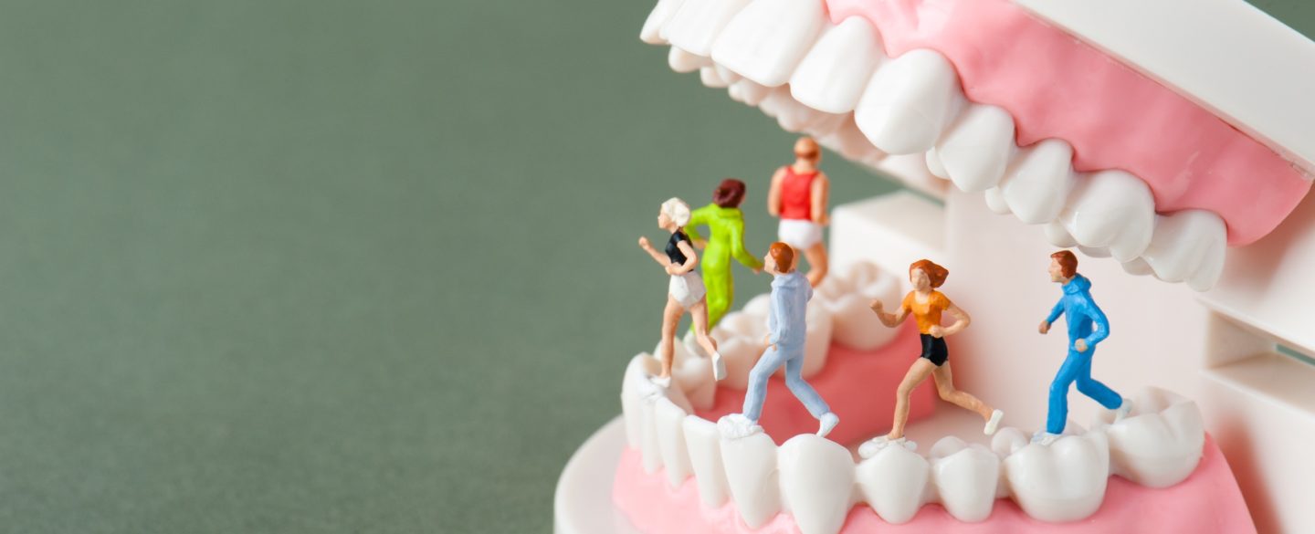 講義イメージ画像：歯科と運動の統合