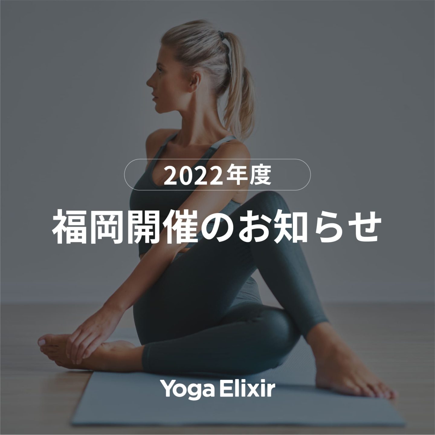 告知画像：【Yoga Elixir】第二期開催のお知らせ